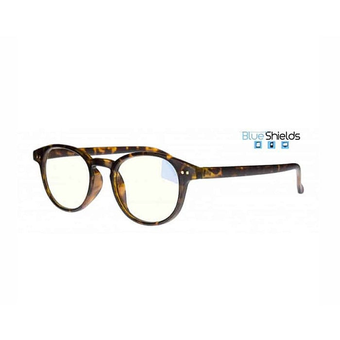 Blue Block Leesbril Boston TFD003