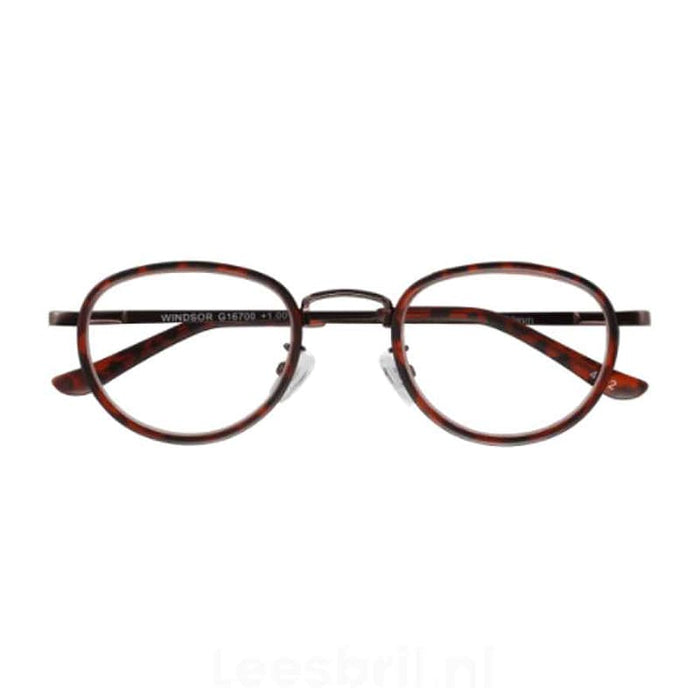 Leesbril Windsor +1.00 +1.00