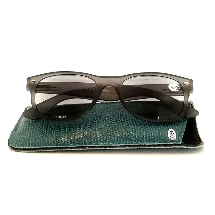 Wayfarer Leeszonnebril Grijs Grijs Grijs